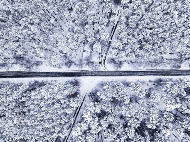 istock Flying above white forest and road in winter, Poland. 1670042734