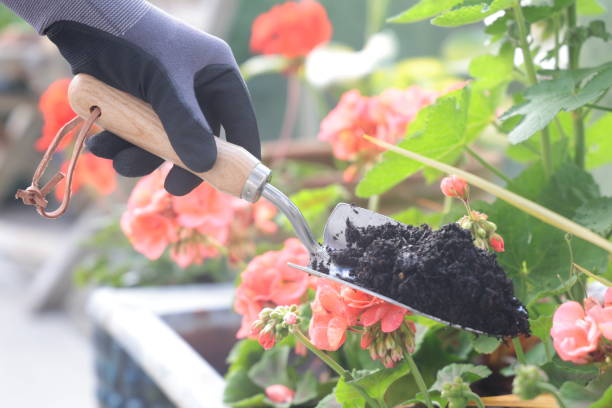 istock Woman digs in flower pots 1670053634