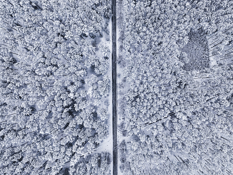 Flying above white forest and snowy road in winter, Poland. Wildlife in winter Poland, Europe.