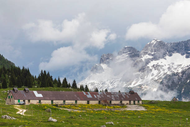 istock Another view from the Altopiano del Montasio 1670101308