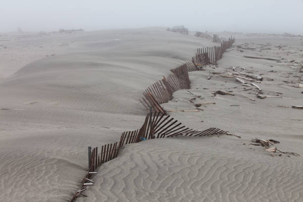 Windswept old damaged fence on an Oregon State Beach.