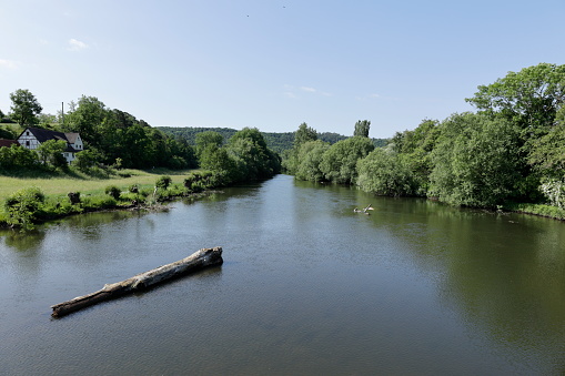 River Enz in the Enztal near Roßwag