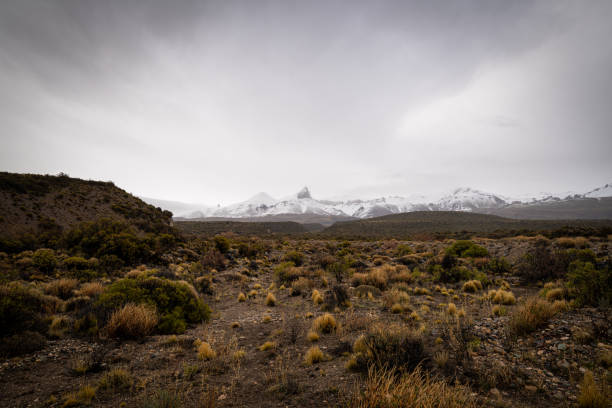 Patagonian steppes on a cloudy day at Jeinimeni National Reserve