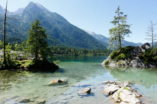 istock Stone with a tree on it in the Hintersee near Ramsau 1670149429