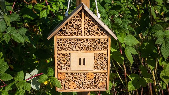 insect hotel in park