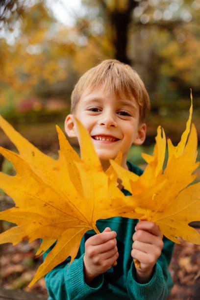 istock Boy holding yellow maple autumn leafs and having fun in the park 1670213743