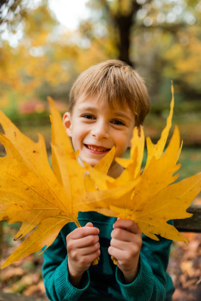 istock Boy holding yellow maple autumn leafs and having fun in the park 1670213793