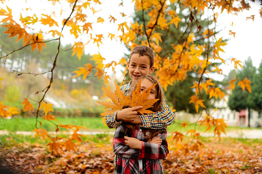 Brother and sister embracing in a park full with yellow autumn leafs