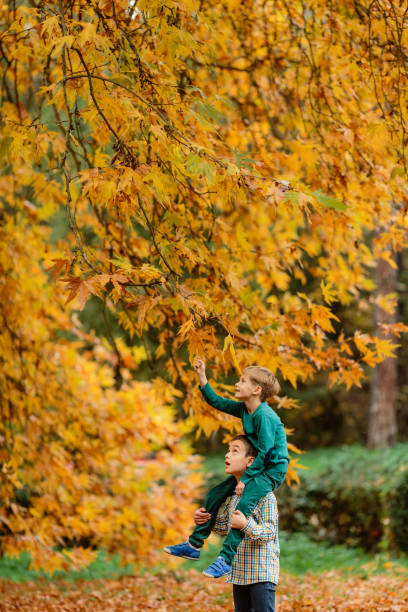 istock Two boys having fun picking yellow autumn leafs from a tree in the park 1670220924
