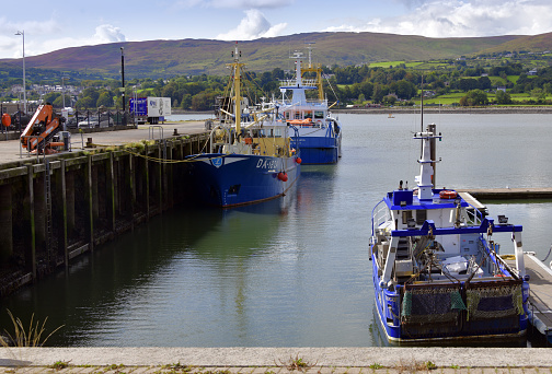 Warrenpoint, County Down, Northern Ireland, Ulster: fishing boats in the harbor (mussel dredgers), along Dock Street. Carlingford Lough, a fjord-like finger of the Irish Sea, with the Republic of Ireland coast in the background, (Drummullagh, Co. Louth). The UK/Ireland (EU) border along Carlingford Lough is disputed, Brexit has complicated local life. On the right 'Our Josh' (SO505, MMSI 250005283), in the center the 'Emerald Gratia' (IMO: 9342449), both registered in the Republic, and on the left the 'Ex Mare Gratia' (B-182A, IMO 8702094), UK registered in Warrenpoint. Mussels are harvested in the area both for direct human consumption and as wild seed settling for mussel farmers. Dredging has been considered aggressive for the local environment.