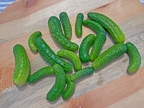 Small cucumber for pickling gherkins
