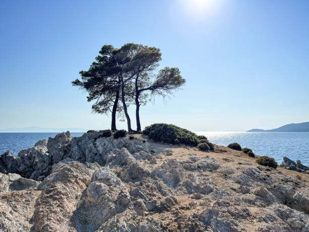 istock Amarandos cove Three trees (Mamma Mia!), Skopelos island, Greece 1670306148