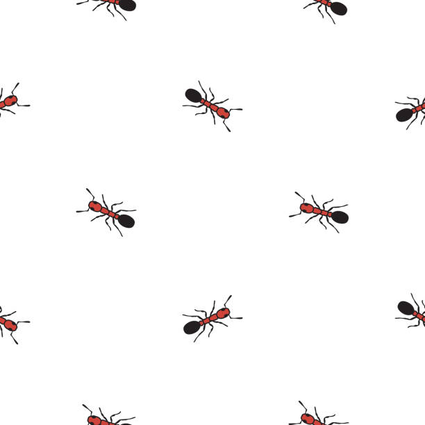 Ant Pattern Tile 420+ Cartoon Of Black And White Tile Patterns Stock Photos, Pictures ...