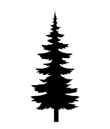 Pine tree silhouette concept. Minimalistic creativity and art with Christmas trees. Ecology and nature. Wildlife and ecosystem. Cartoon flat vector illustration isolated on white background
