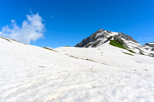 The snowdrifts and green grass on top of mountains in the tropical forest. The alpine mountains and meadows.