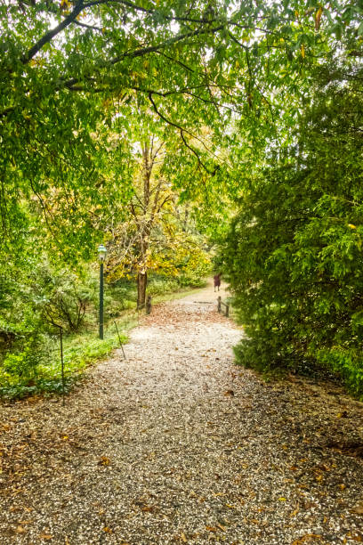 istock A walk into the woods in the fall - Williamsburg, VA, USA 1670363732