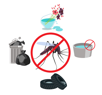 Dengue Prevention - Avoid Water Collection - Stock Illustration as EPS 10 File