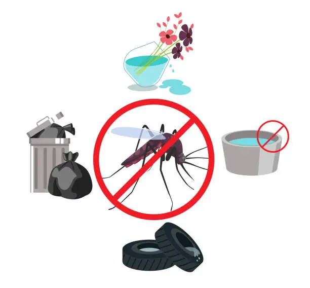 Vector illustration of Dengue Prevention - Avoid Water Collection - Stock Illustration