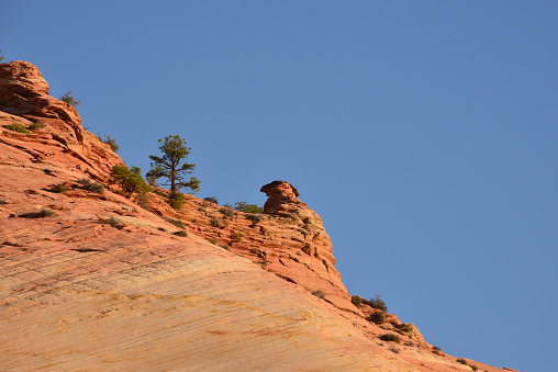 Photo Taken Near Springdale, Utah