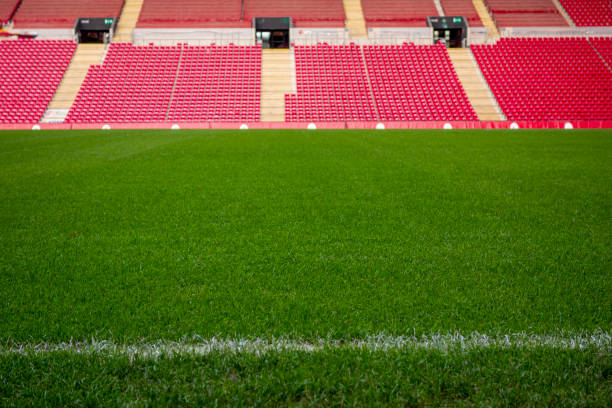 istock Green soccer grass field 1670428526