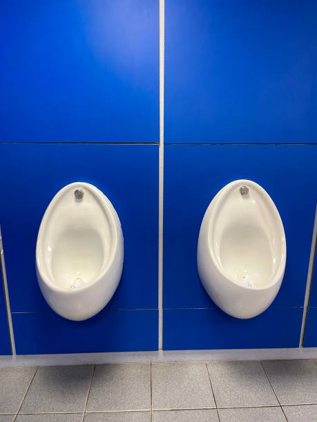 image of two urinals in public washroom toilets, white ceramic urinals with blue backdrop splash back, clean hygienic urinals with drains and drainage inside the wall panels, tiled flooring - urinal clean contemporary in a row imagens e fotografias de stock