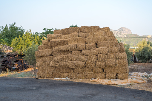 Many hay bales from asphalt roadside