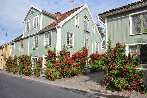 Street with old houses and red roses.