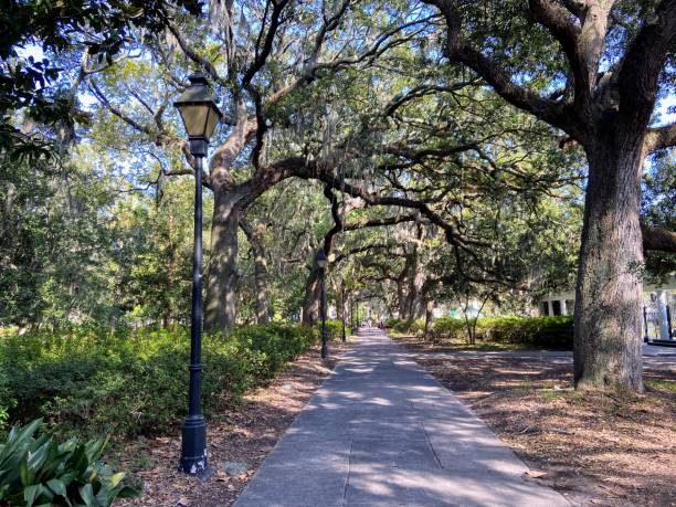 istock Forsyth Park in Savannah, Georgia 1670539867