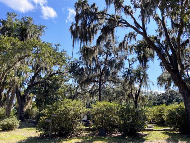 istock Bonaventure Cemetery in Savannah, Georgia 1670540405