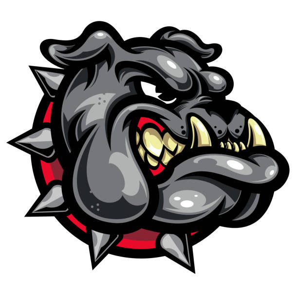 Bulldog english head mascot vector Animal head ideal to print dtf bundle. For projects! sublimation, screen printing, textile vinyl, crafts, cutting. you can use it to personalize t shirts, mugs, caps, stickers. Give life to your ideas, for brands, logos, schools, companies, businesses and more. t shirt transfer stock illustrations
