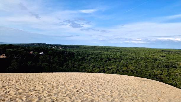 ピラトの大きな砂丘を囲む森のハイビュー フランス、ヨーロッパ