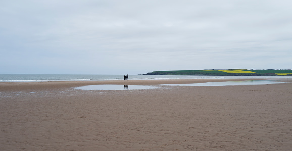 A couple walking by the calm sea on a deserted beach in Angus on an overcast day.