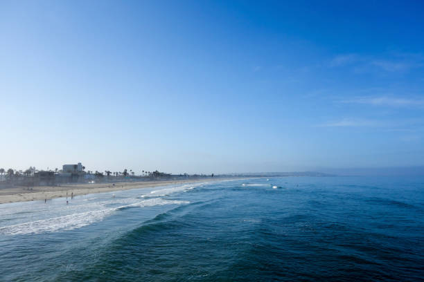 südseite von pacific beach, san diego, kalifornien - sunbathing surf sea pacific ocean stock-fotos und bilder