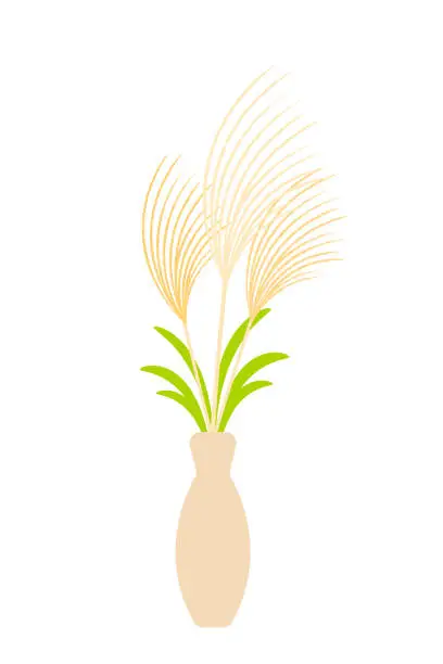 Vector illustration of Japanese Pampas Grass.