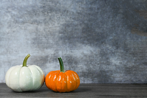 White pumpkin and orange pumpkin. Autumn. Thanksgiving. Copy space. Not AI