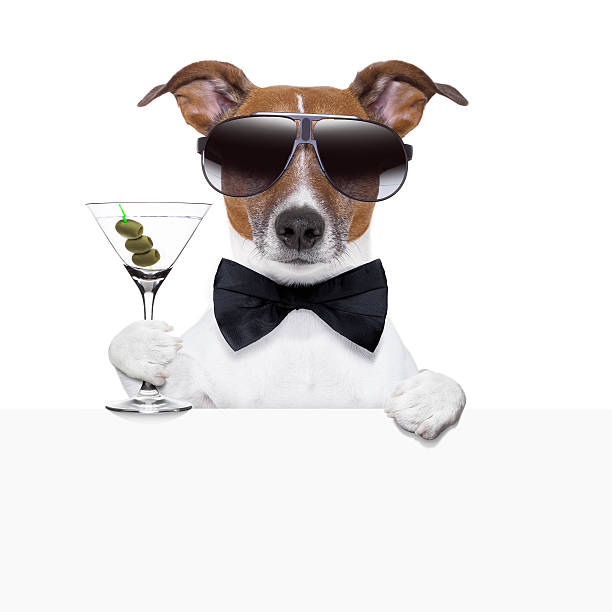 istock funny cocktail dog banner 167078391