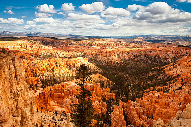 istock Bryce Canyon National Park 167078782