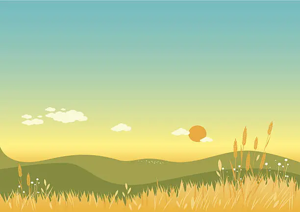 Vector illustration of Summer Background