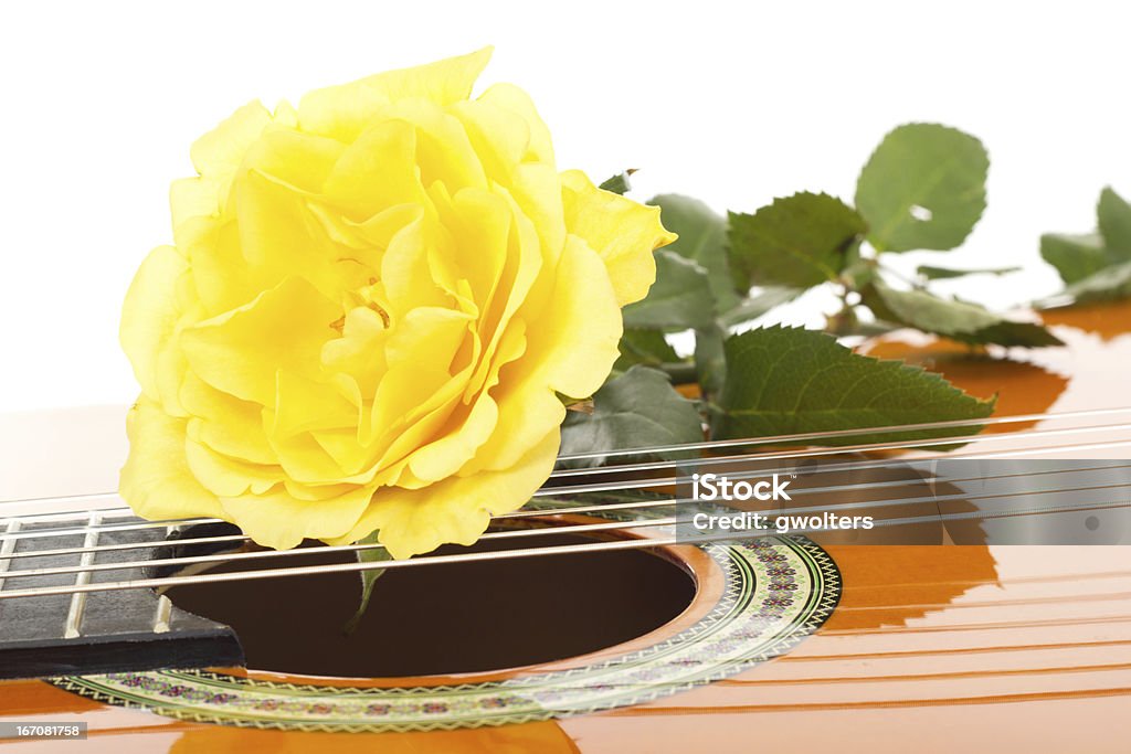 Hermosa Rosa En La Guitarra Amarillo Foto de stock y más banco de imágenes  de Amarillo - Color - Amarillo - Color, Belleza, Decoración - Objeto -  iStock