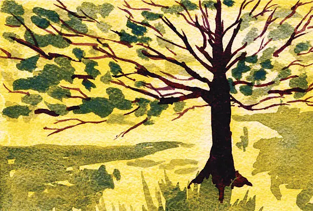 Vector illustration of Árvore Ensolarada - Sunny Tree