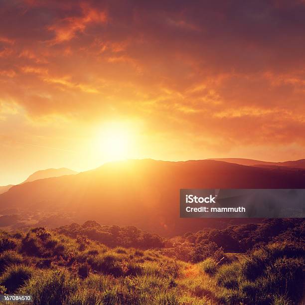 Summer Sunset Stock Photo - Download Image Now - Sunset, Orange Color, Sky