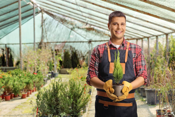 istock Gardener holding a plant at a greenhouse 1670849367