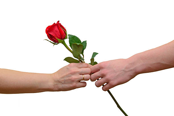 istock Teen presents his mother a rose 167085285