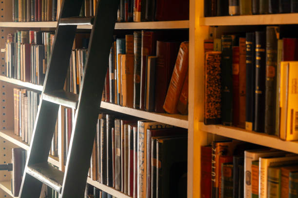 istock Books on a shelf with ladder 1670853840