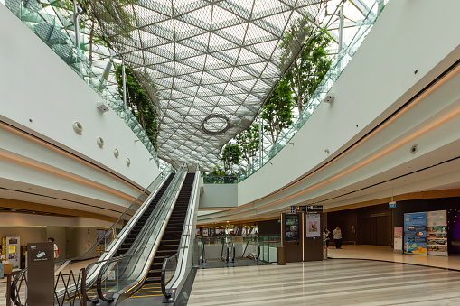 Crowd in Shopping Mall, People on Escalator