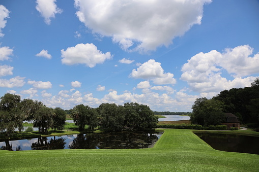 Sunny day and lake in background. Charleston SC, Middleton Place