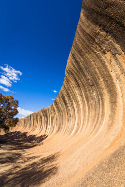 istock Wave Rock in Western Australia, Australia 1670955865