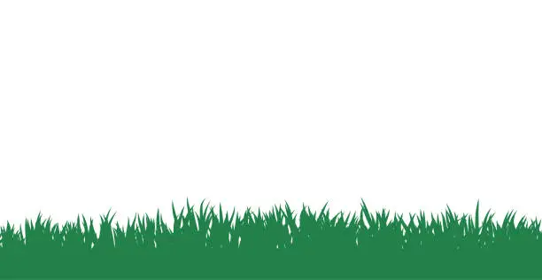 Vector illustration of Green grass silhouette isolated on white background