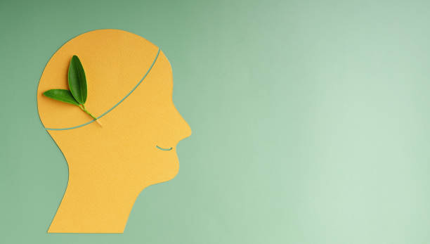 istock Optimistic, Optimistic Mind, Harmony and Environmentalism Person Concept. made by Paper and Real Green Leaf. Conceptual Photo of Mental Health and Environmentalism Person Concept. made by Paper and Real Green Leaf. Conceptual Photo 1671127975