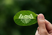 Hand of human is holding painted green leaf with handshake icon, environment social and governance or ESG